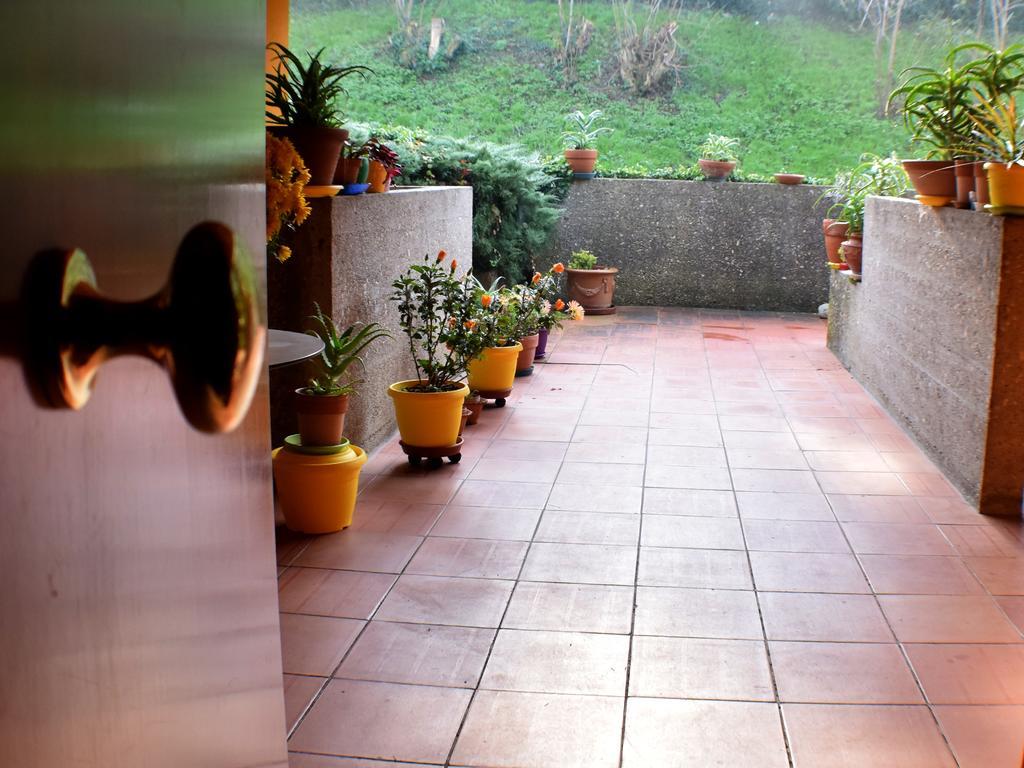Tarcisio B&B Tavullia Pokój zdjęcie