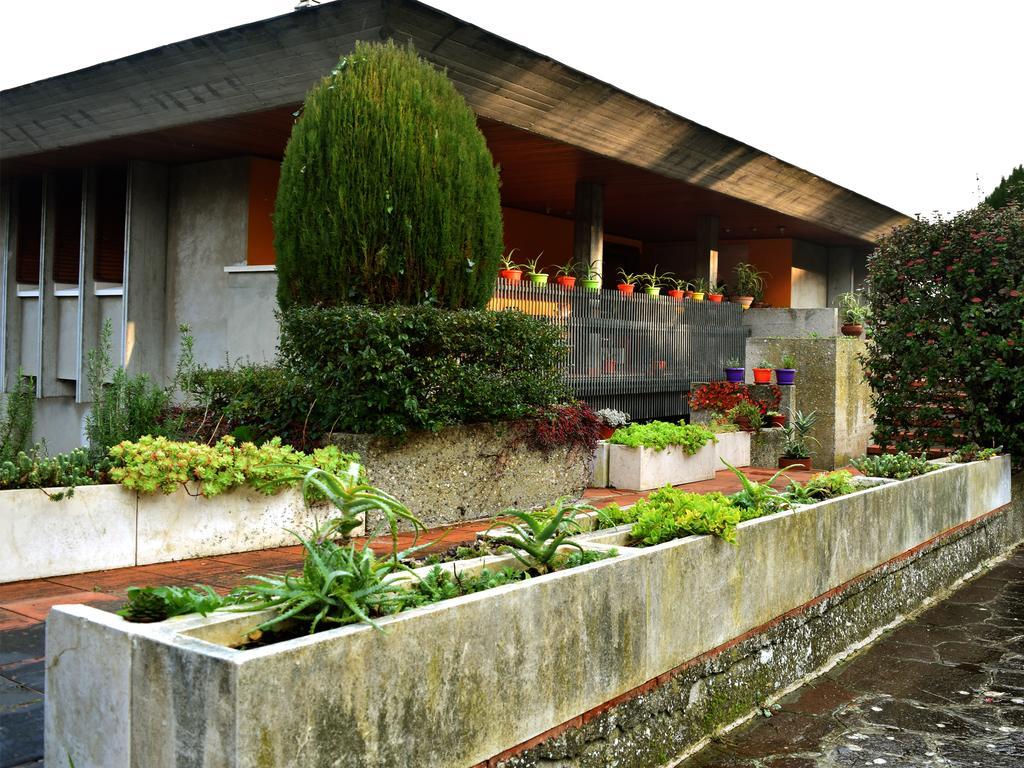 Tarcisio B&B Tavullia Pokój zdjęcie