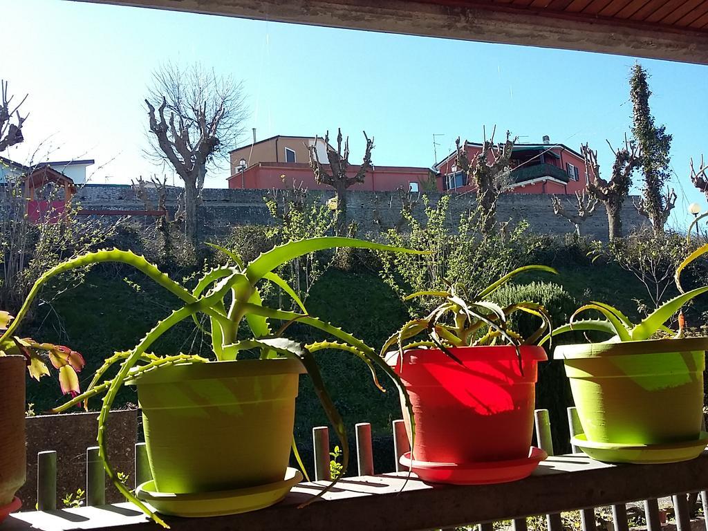 Tarcisio B&B Tavullia Zewnętrze zdjęcie